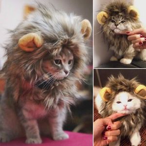 Tete De Lion Pour Chat Cdiscount