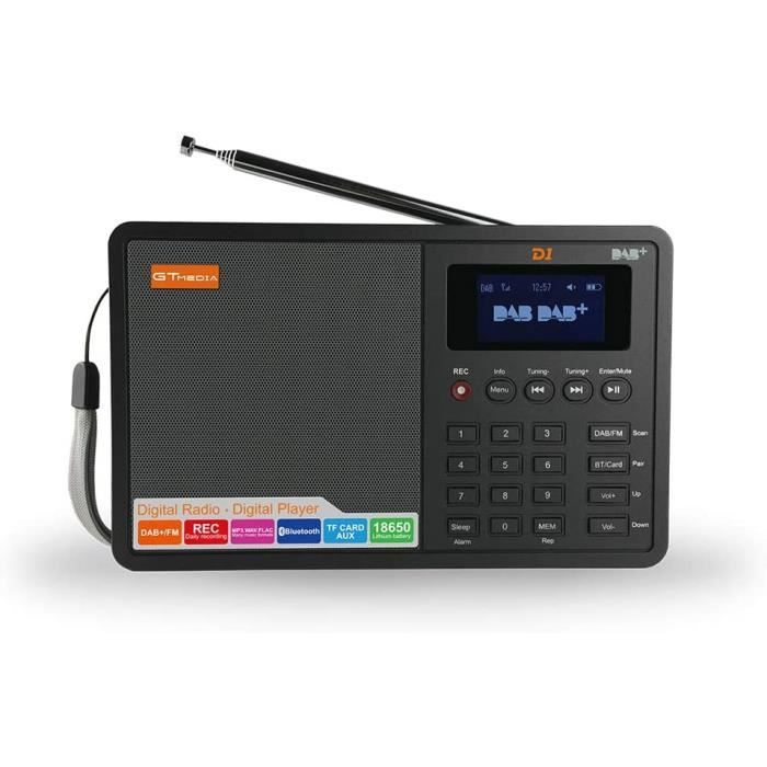 D1 Portable LCD Dab + / FM RDS Radio, Lecteur Radio numérique sans Fil Rechargeable avec réveil et Fonction d'enregistrement de Prog
