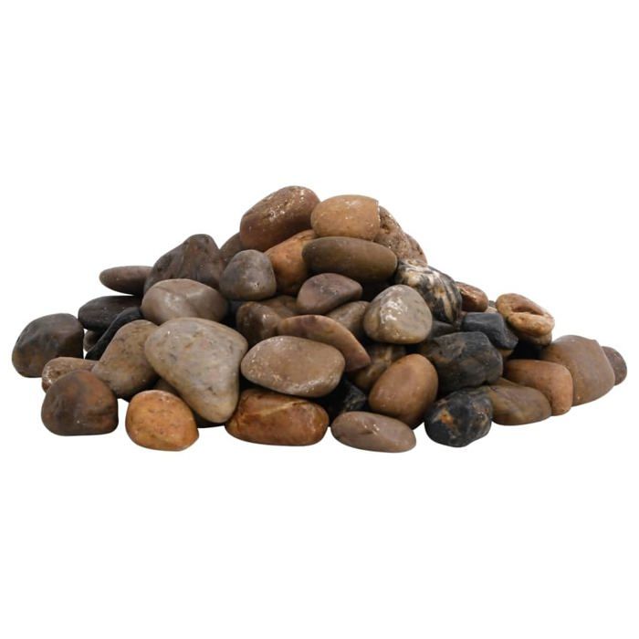 vidaXL Galets polis 10 kg multicolores