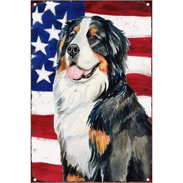 J.DXHYA Plaque Murale Rétro En Métal Pennzoil - Reproduction D'une