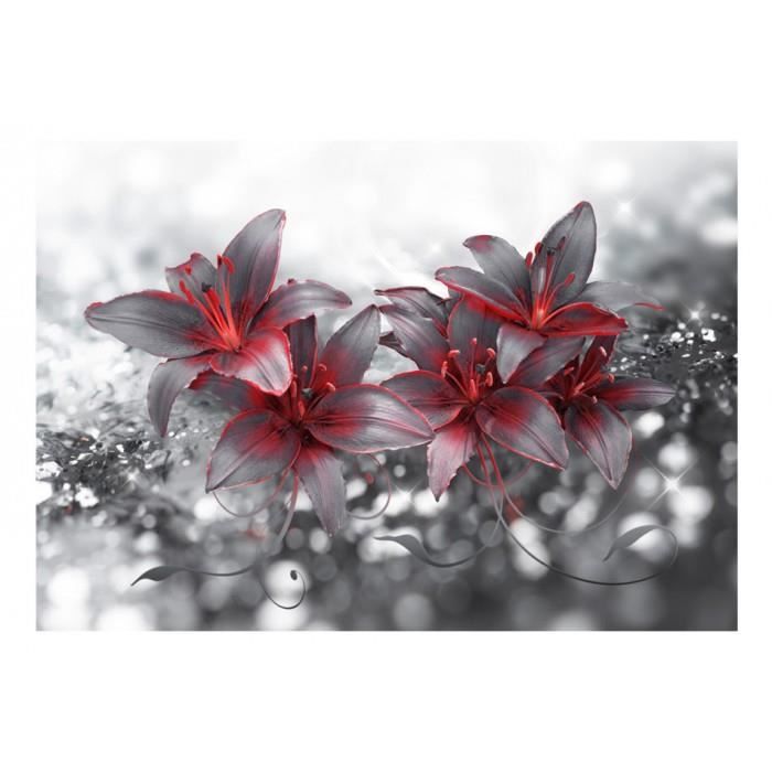 Gratuit Images Mesure 200x140 Sublime Papier Peint Nature Plantes Fleurs Lys actualisé par