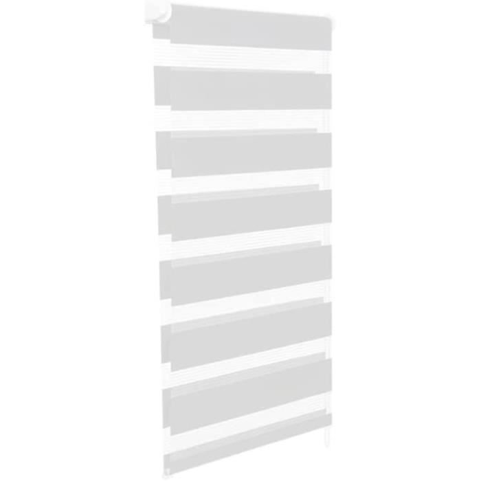 Stores Enrouleurs Zébrés Jour/nuit - Lot De 2, L.40 X H.170 Cm, Blanc, Réglage Luminosité Facile