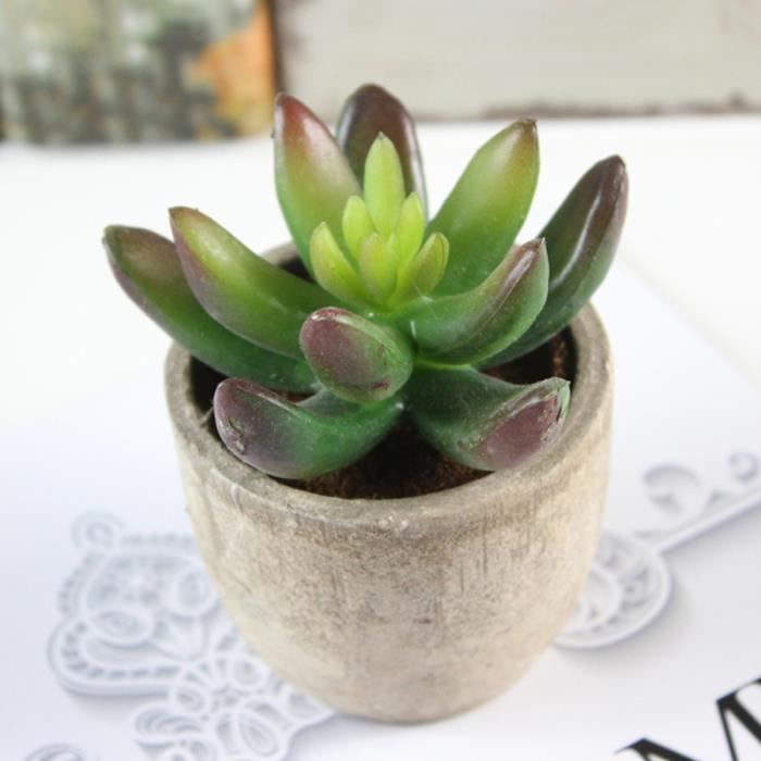 3pcs décoratifs faux artificiels succulentes artificielles plantes de