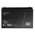 GreenCell® Rechargeable Batterie AGM 12V 100Ah accumulateur au Gel Plomb Cycles sans Entretien VRLA Battery étanche-2