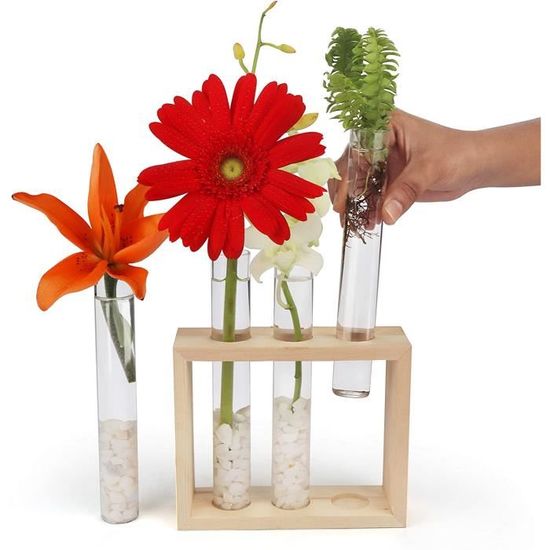 Tube Eprouvette Vase pour Fleur