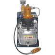 30MPa pompe à air haute pression 45000PSI PCP pompe de compresseur d'air électrique avec moteur à fil de cuivre 220V PCP-3