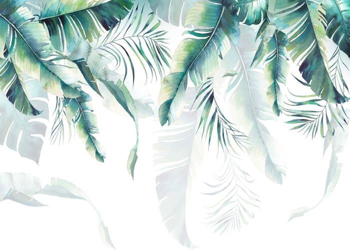 Papier Peint Panoramique Jungle 3d Soie, 500 X 280 cm Jungle Tropical ...