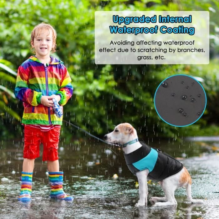 Impermeable chien petite taille online