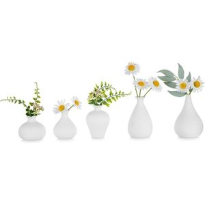 VASE - SOLIFLORE Petit Vase Blanc Set De 5, Vase En Verre Fait À La