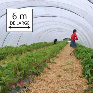 Bâche de protection agricole 170 g/m² - 4 x 6 m - Transparente - petite  serre de jardin - bache imperméable ❘ Bricoman