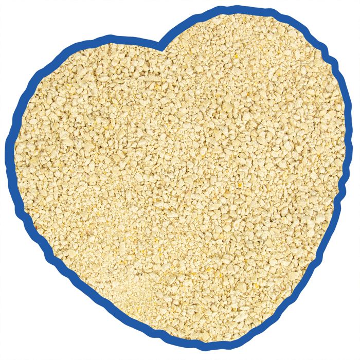 Litière pour chat agglomérante à base de maïs Duvoplus Eco - beige/bleu - Beige - 22x10x41 cm