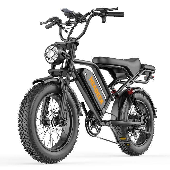 Vélo électrique HEADEER BK20 Moteur 750W Batterie 48V 20Ah Autonomie 45-80 km (Mode Assist) Pneus 20×40 tout-terrain
