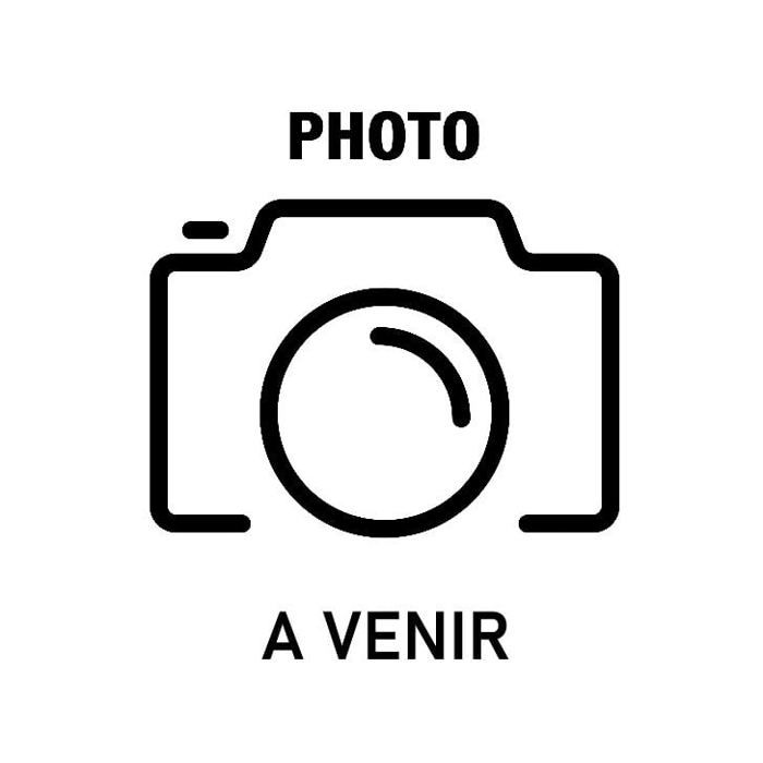 Graine - Semence - Concombre Hyb F1 louisa