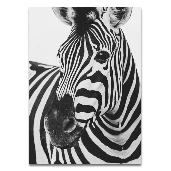 Éléphant Zèbre Lion Girafe Rhino Noir Blanc Animal Toile Tableau Murale Art  Peinture Affiche Moderne Tableaux Decoration Murale 40 × 60 cm × 3 Sans