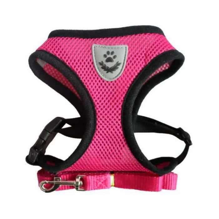 Collier,Harnais réglable pour chien et chat, gilet avec laisse en plomb pour chiot, collier en