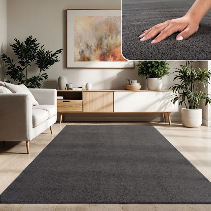 Paco Home Tapis De Salon Poils Ras Lavable Monochrome Style Moderne ...