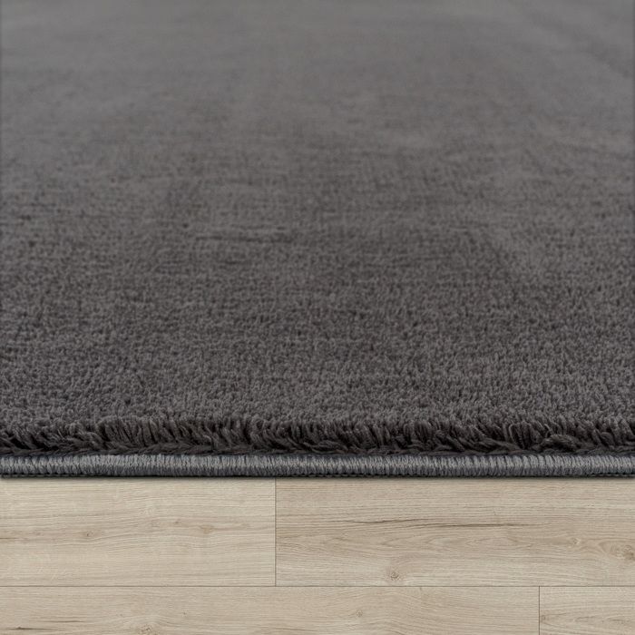 Paco Home Tapis De Salon Poils Ras Lavable Monochrome Style Moderne ...