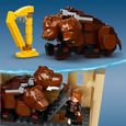LEGO® 76387 Harry Potter™ Poudlard : rencontre avec Touffu, Jeu de Construction avec le Chien à 3 têtes et une Figurine 20ème-2