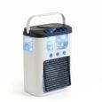 Climatiseur portable - 3 vitesses, 3 modes brumisation, 600ml, Blanc Dupcheliry