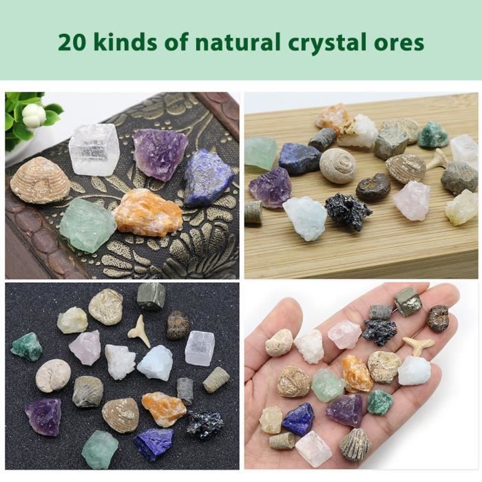 Lot de 20 pierres précieuses naturelles, collection de pierres précieuses  minérales pour enfants, cadeau d'anniversaire fossiles - Cdiscount Maison