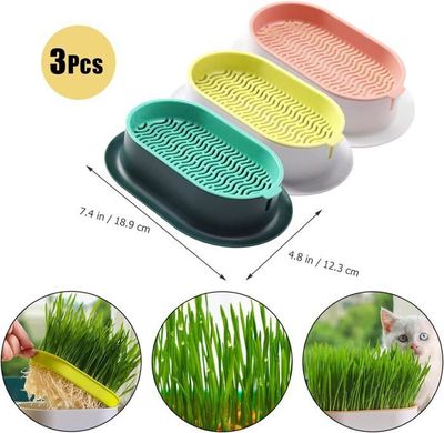 Accessoire Chat Intérieur Kit Herbe à Chat Caterpillar Catit 3