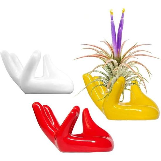 Lot De 3 Supports Céramique Pour Plantes Aériennes Tillandsia - Présentoir Blanc 8.5x7cm