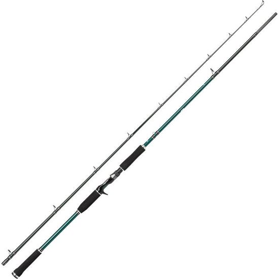 Canne à Pêche Spinning Abu Garcia Mass Beast II - Pour Carnassiers (brochet, Perche, Sandre) - Légère, Anneaux Fuji, Powerlux