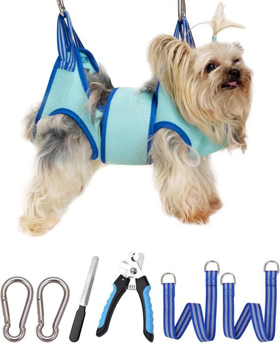 Lot De Coussinets De Palme Palm Pad - Toilettage/massage - Cheval Ou Chien - Neuf