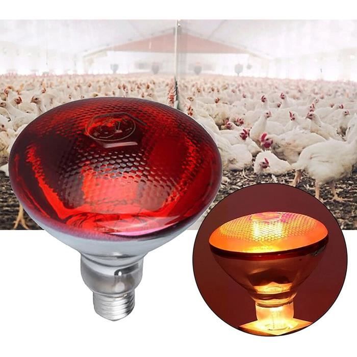 Lampe Infraroupe Chauffante 2000W DATOUBOSS - Séchage Peinture Carrosserie - Minuterie 90min