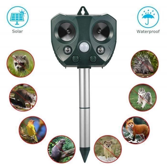 Repulsif Chat Ultrason Solaire Chat Repulsif Chat Exterieur Ultrason Chat Animaux Nuisibles 5 Modes Pour Jardins Champs Pepinieres Cdiscount Au Quotidien
