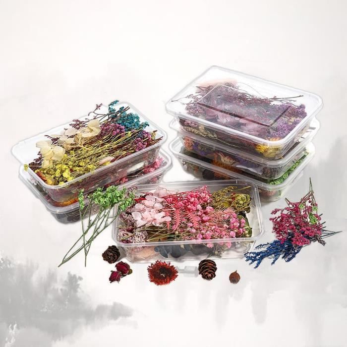 33 Fleurs Séchées Pressées Naturelles Pour Résine, Bijoux DIY, Nail Art - Variété De Formes Et Tailles