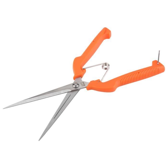 Cisaille à Gazon, Sécateur à Lame Droite - Longueur Totale 20 Cm, Lame 6 Cm - Acier Inoxydable - Pour Jardin, Bonsaï, Arbres Fruitiers - 11