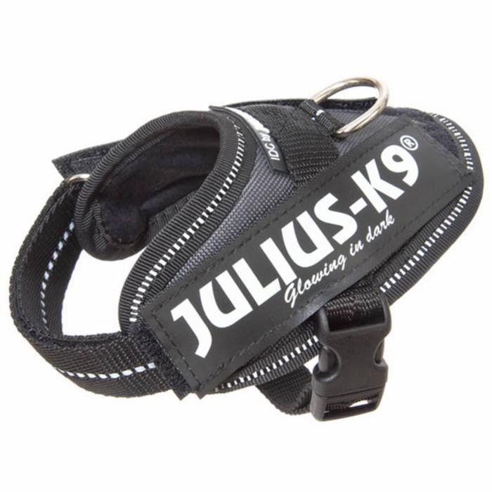 Julius K9 IDC Harnais pour chiens Taille Chiot 1 Anthracite