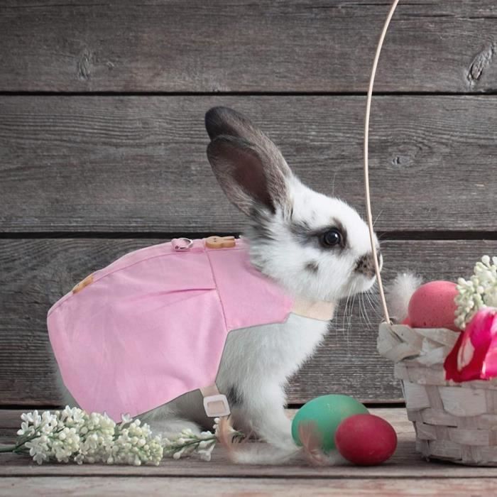 Vetement pour lapin new arrivals