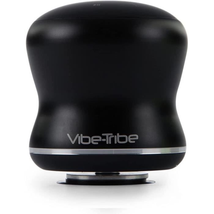 Vibe tribe speaker on sale