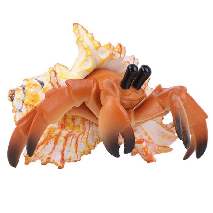 Dioche Modèle de crabe soldat Modèle de Crabe de Soldat Marin de Dioche Modèle de crabe soldat Modèle de Crabe de Soldat Marin de