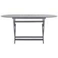 Chic© Table de jardin pliable Table d'extérieur Style Moderne - 160 x 85 x 75 cm Bois d'acacia massif #10783-1