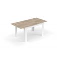 Table Extensible scandinave Kenda Couleur Bois et Blanc avec rallonge-1