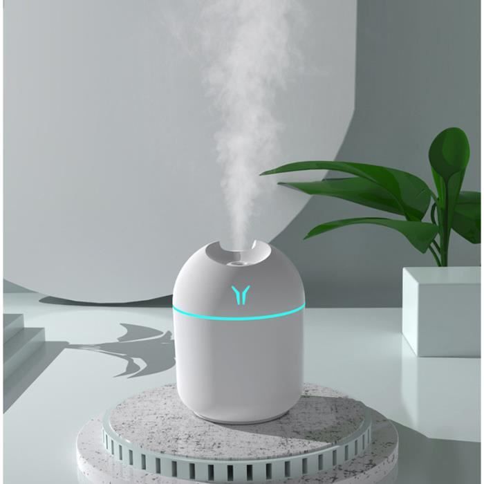 Mini humidificateur d'air portable Diffuseur d'arômes à ultrasons et  humidificateur MINI FACE MISTAIRE Purificateur de thérapie aromatique