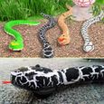 Animalerie,Jouet de serpent télécommandé RC pour chat chaton,contrôleur interactif en forme d'œuf,serpent à sonnette - Type black-3