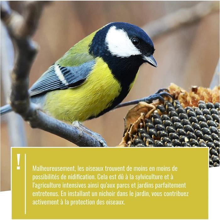 Nichoir à Oiseaux Aubry Gaspard - Trou 3,5 Cm - Pour Moineaux, Mésanges - Dimensions 15x10x17 Cm - 2