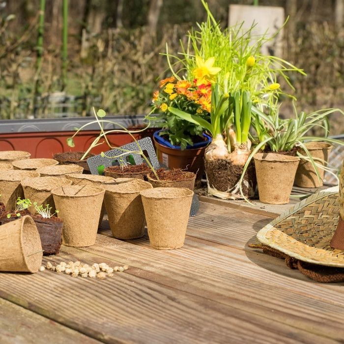 Gueche Pots Biodégradables - Lot De 120 Godets De Semis En Fibre De 6 Cm Pour Fleurs, Légumes Et Herbes (Tomates, Concombres)