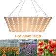 Lampe Horticole LED Croissance Floraison - QINGQUE - Universel - Blanc - 4000K - 169LED - 25*25*2cm-0