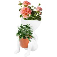 Pot de fleur d'intérieur jardinière succulente petit pot de jardin décoratif contenant pots de plante mignons Pot de fleur en