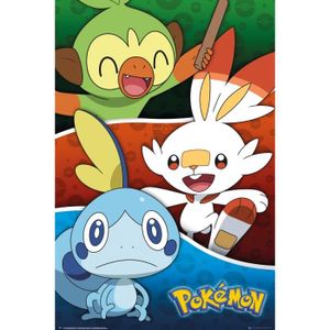 1art1 Pokemon Mini Poster Et Cadre Voltali Pyroli Aquali Noctali Phyllali Givrali Nymphali Evoli Plastique Pikachu 50 X 40cm Tableaux Posters Et Arts Decoratifs Cuisine Maison Ranchofenix Com Br