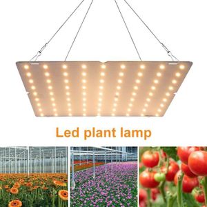 Eclairage horticole Lampe Horticole LED Croissance Floraison - QINGQUE