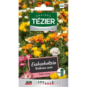 GRAINE - SEMENCE Sachet Graines - Tezier - Eschscholtzia Ballerine variée -- Fleurs annuelles - Sachet Fleurs - Fleurs annuelles à utiliser sur