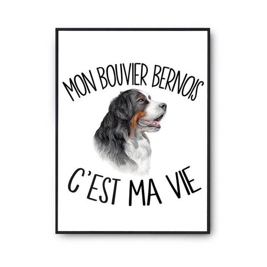 QBIREX Peinture sur toile représentant le philosophe grec Platon, décoration murale pour chambre QBIREX Peinture sur toile représentant le philosophe grec Platon, décoration murale pour chambre