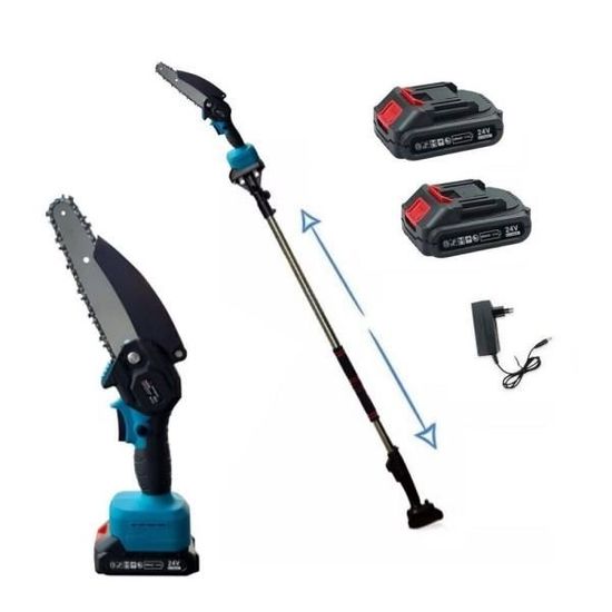 Élagueuse Sur Perche 2 En 1 - Tronçonneuse électrique 6 Pouces, Moteur Brushless, Batterie, Extension 2,4 M