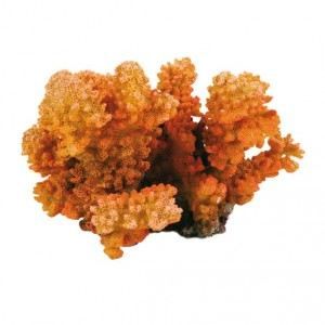 Trixie Branche de corail